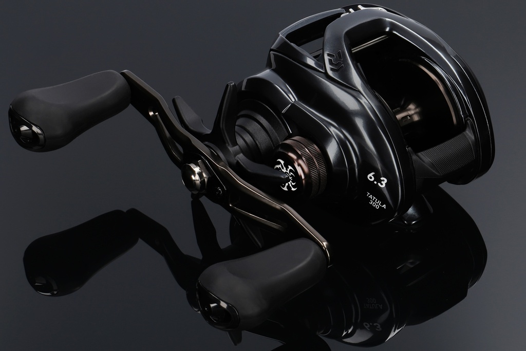 DAIWA Tatula TWS 300 Baitcastrolle