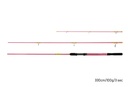 DELPHIN Queen Feeder 330 cm 100g + 3 Spitzen