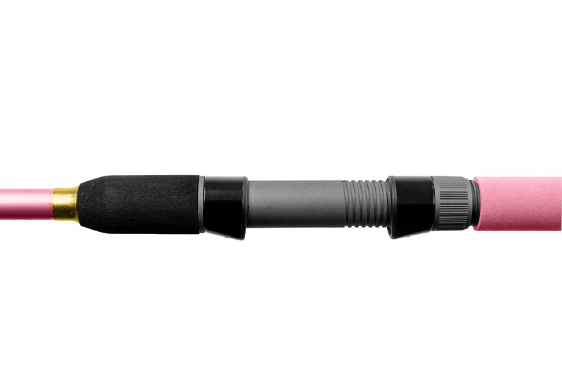 DELPHIN Queen Feeder 330 cm 100g + 3 Spitzen