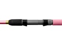 DELPHIN Queen Feeder 330 cm 100g + 3 Spitzen