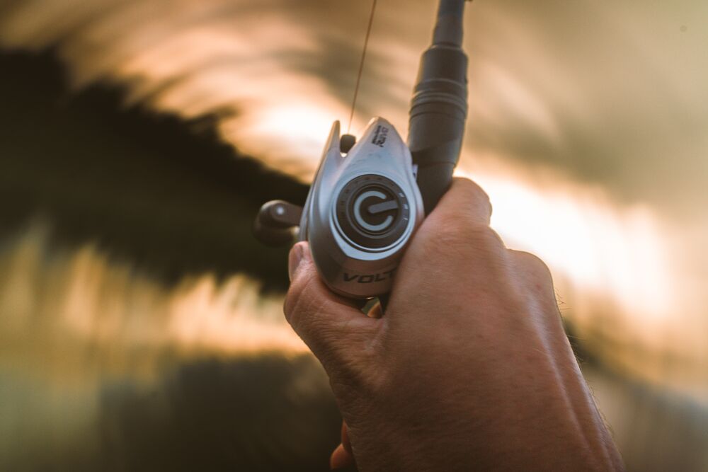 SAVAGE GEAR Revenge SG2 & ABU GARCIA Revo X VoltiQ HS-L – Baitcast Combo