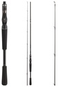 DAIWA Tatula XT Baitcastrute